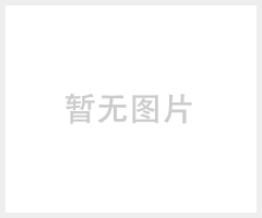 孔隙度测定仪（V-Sorb 2800P）